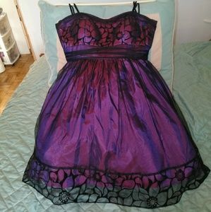 Blondie Nites by Stacy Sklar